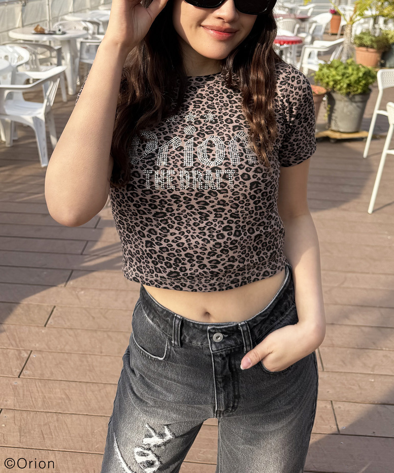 【Orion/オリオン】ラインストーンちびTシャツ 詳細画像 レオパード 7