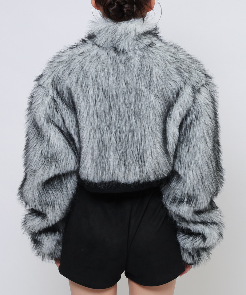 共通画像 3